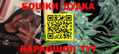сатива Кулебаки