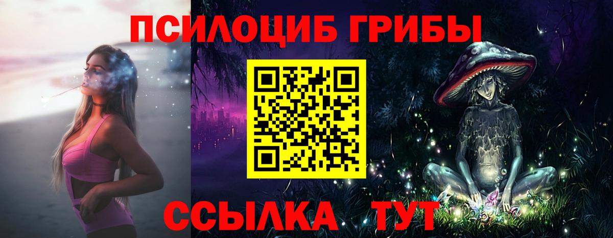 Казань  Галлюциногенные грибы Cubensis  Вход с VPN  Псилоцибиновые грибы Magic Shrooms 