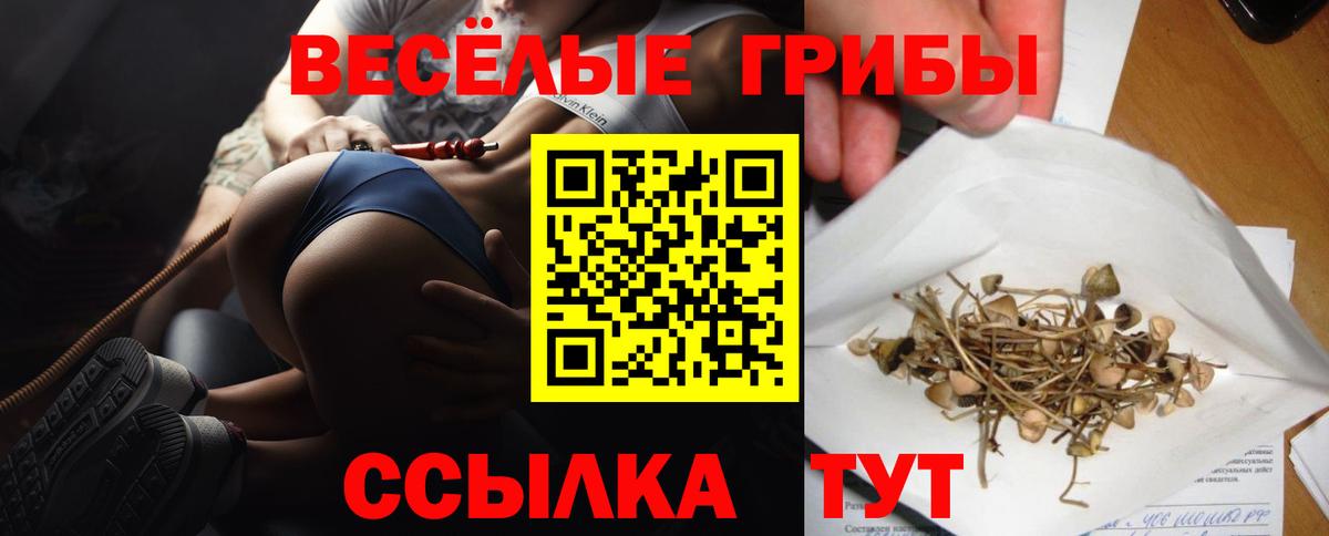 Галлюциногенные грибы ЛСД Казань