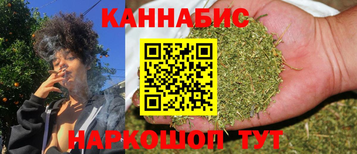 Каннабис сатива Казань
